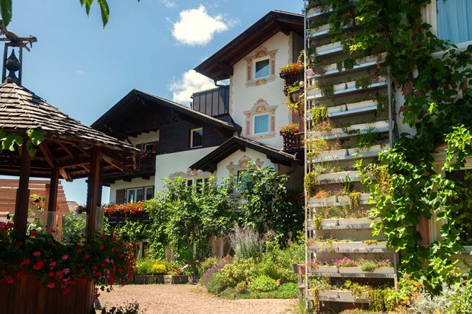 10.07.25 Pergola-9934