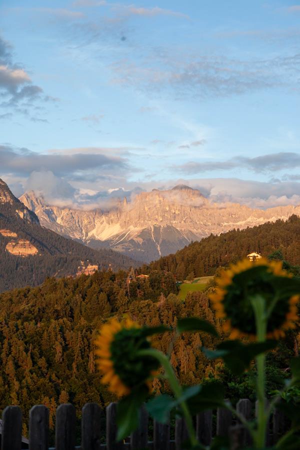 31.07.25 Grillabend - Grigliata-9810