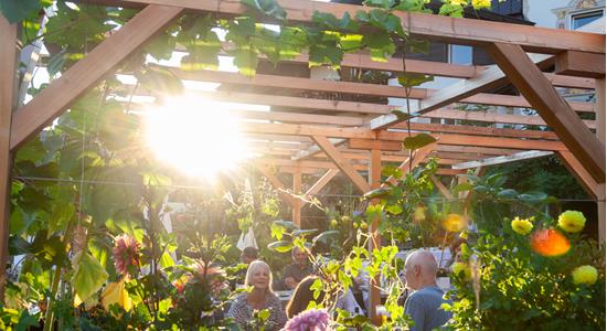 08.08.25 Grillabend - Grigliata-9979