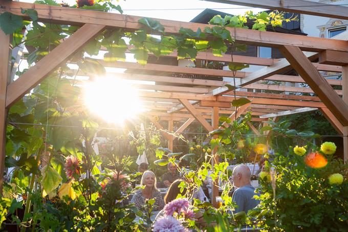 08.08.25 Grillabend - Grigliata-9979