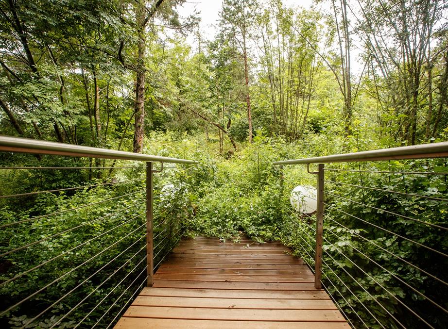 erwin-haiden-2294-klein