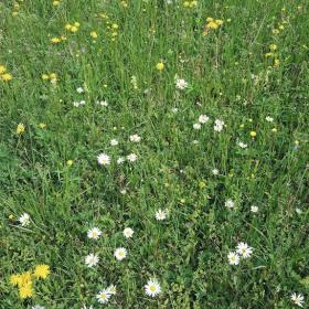 2018-06-12-03-06-27-1