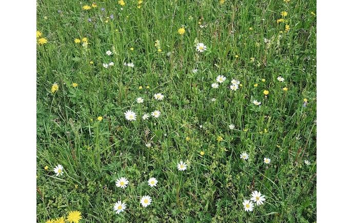 2018-06-12-03-06-27-1