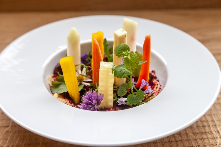 21-04-20-vegane-gerichte-hummus-garten-7443