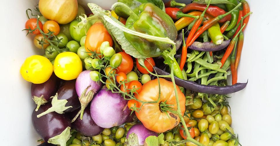 obst-und-gemuese-vom-garten