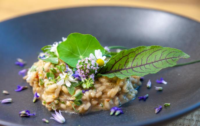 21-04-20-vegan-risotto-mit-wildkraeuter-1