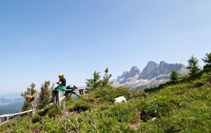 wanderung-latemar-14-07-13-5735