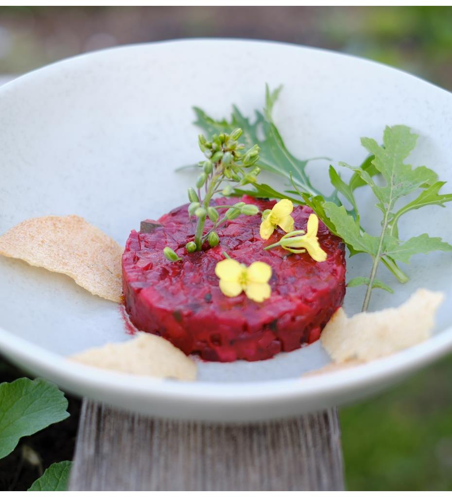 matthias-haupt-fuer-biohotel-steineggerhof-klein