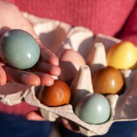 03-03-2026-ostereier-faerben-0620