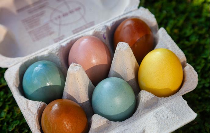 03-03-2026-ostereier-faerben-0605