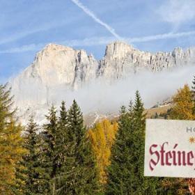 Newsletter-header-sept16