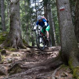 biobauer-rielinger-21000px