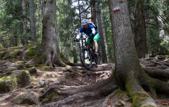 biobauer-rielinger-21000px